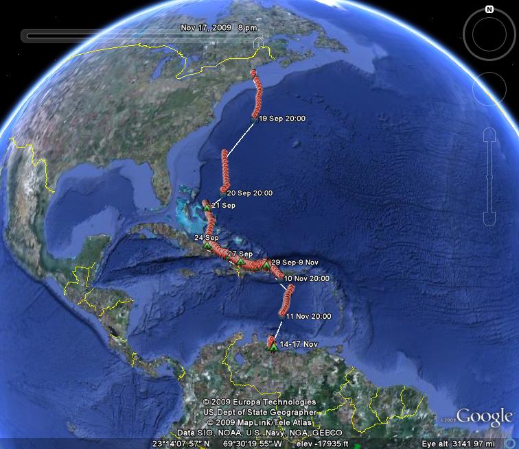 osprey migration tracking